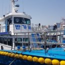 낚시매점 이미지