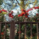 병정목장 이미지