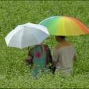 구시포 해수탕 이미지