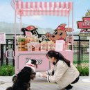 주식회사 플레이그라운드 이미지