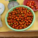 방문농장 이미지