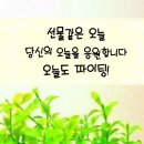 농수산시장 이미지