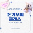 블로그 돈기부여 클래스 세시간전 크리에이터 도치눈나 강의 후기