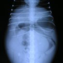 고득영동물병원 이미지