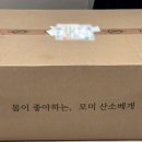 이리산소 | 목디스크 거북목 경추베개 추천 모미 산소베개 한달 사용 숙면 후기