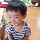 멍멍이냥 이미지