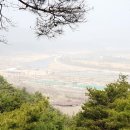 안기천로 이미지