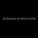 모소(MOSO) Daum카페