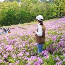 불암산나비정원 이미지