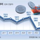 수지24