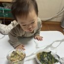 [속초 1박2일 여행 일정]짧고 굵은 1박2일 아기랑 강원도 바다여행 코스 추천
