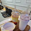 안녕 강아지 이미지