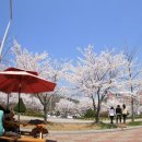 신성대학교 이미지