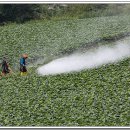 흥농종묘 이미지