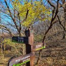 이마당약수터 이미지