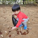 와우농장 체험학습 (고구마캐기와 밤줍기)🌰🌰🍠🍠 이미지