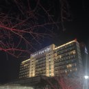 (주)라한호텔목포 | 목포 숙소, 호텔현대 바이 라한 목포 내돈내산 후기, 영암 숙소