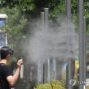 포그디자인 이미지
