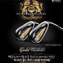 *종료*[남성-A급/아이언]고반발 맥그리거 골드투어니 GOLD TOURNEY 남성 아이언세트(#5~SW, R) 이미지