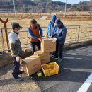 태성2리 이미지