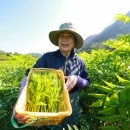 해오름농장 3 이미지