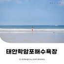 [공지] 태안 학암포해수욕장 서해바다 물놀이장소 물벼룩만 없으면 백점 ⓒ ᴍᴏᴀ sᴛᴏʀʏ