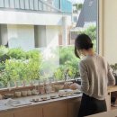 ep03.연희동 데이트 (feat.다도레 티룸 🫖🍵)
