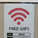 일품육쌈 이미지