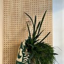 (주)신한씨엔에스 이미지