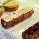 구뜨몽떼 이미지