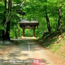복지음 | 부처님오신날이 다가올수록 그리워지는 문경시 김룡사