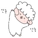 파파스팀세차