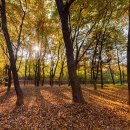 시민의숲 이미지