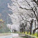 도평1리마을회관 이미지