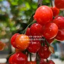 부동산중개강릉마을 이미지