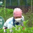 장선농장 이미지