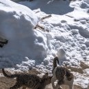 CU서천점 이미지