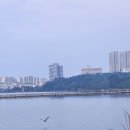 신세계리조트