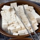 황금코다리 이미지