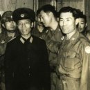 자매종합상사 이미지