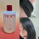 하솜헤어 | 모에브 아누카틴 샴푸 사용 후기, 한예슬 샴푸로 유명한 탈모 샴푸?!