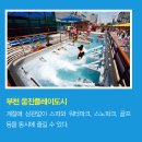 중원 이미지
