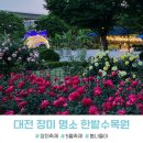 시립미술관(팔각정) | 대전 장미 명소 한밭수목원 5월 축제 꽃구경 나들이