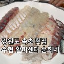 수협회센타(광영점) | 내돈내산 강원도 속초 청초호 횟집 수협 청호 활어센터 순희네 식당 방문 후기