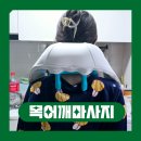 목어깨마사지기 안마기 웰큐어 추천 후기 온열 기능까지 굿