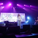 노리플라이 콘서트 이미지