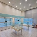 건강생활 부산점