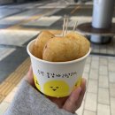 평창 휘닉스파크 스카이 로얄(슬로프 뷰💙)/ 휘닉스 평창 스노우빌리지 눈썰매장☃️