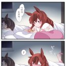 씨네이처
