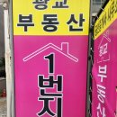시그니처광교 공인중개사사무소 | 광교오피스텔 믿을 수 있는 중개사, 정말 만족스러워요!